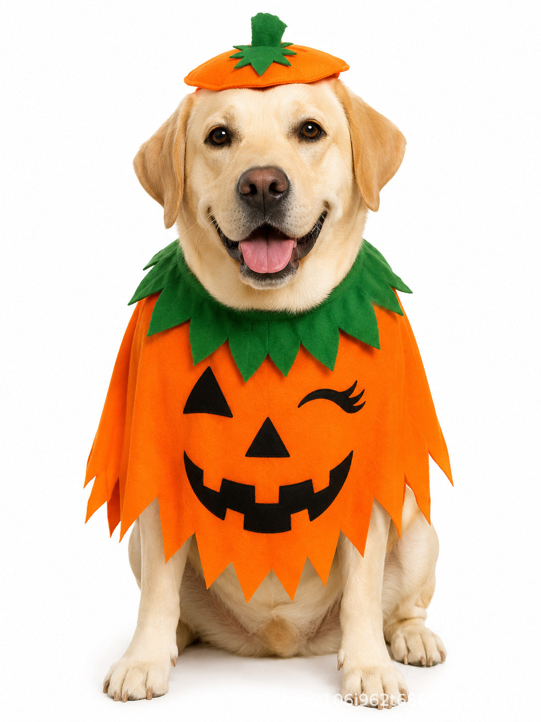 Pumpkin Cape & Hat Set